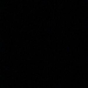 Meet your Posher, Sadie